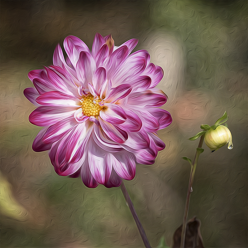 001 WTL ZooviertelKA7_6864 als Smartobjekt-1 Kopie als Smartobjekt-1 kopieren.jpg